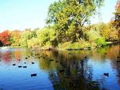 Picasa <SAMSUNG DIGITAL CAMERA>