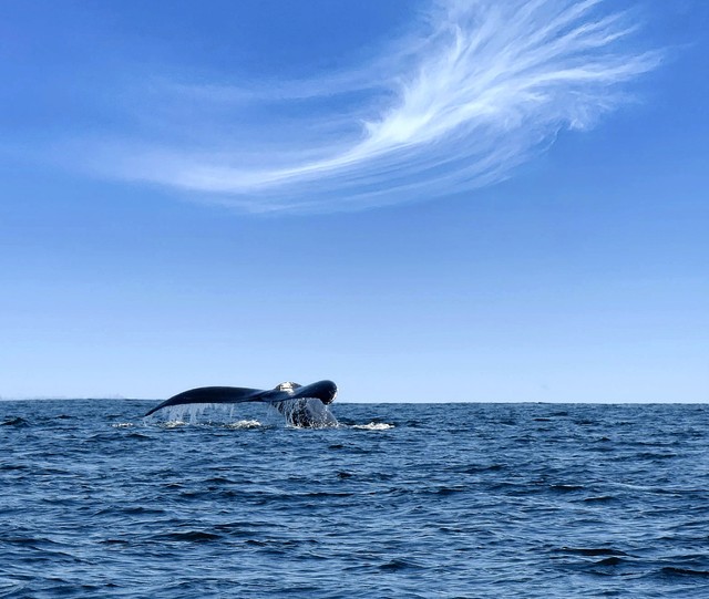 Na Pacyfiku Stanisław Hawrus #348692