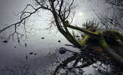 atenytom Lough Neagh - N.Ireland - autumn '24