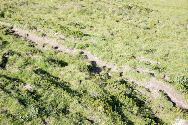 Jacek Pióro #308971