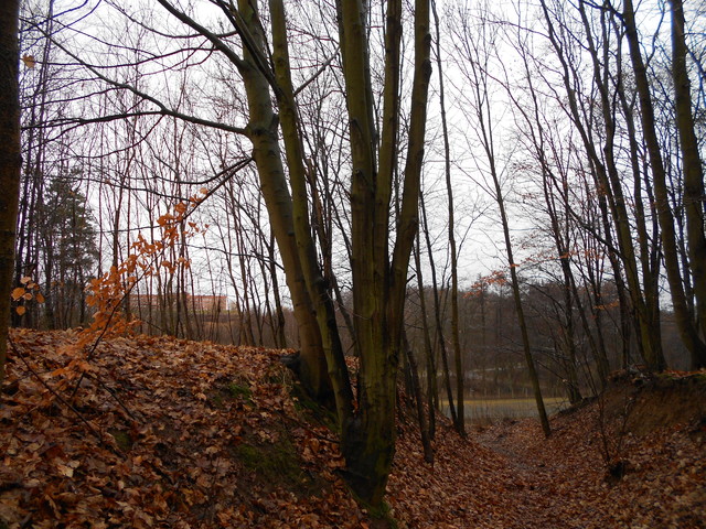 Artur Oziewicz #188242