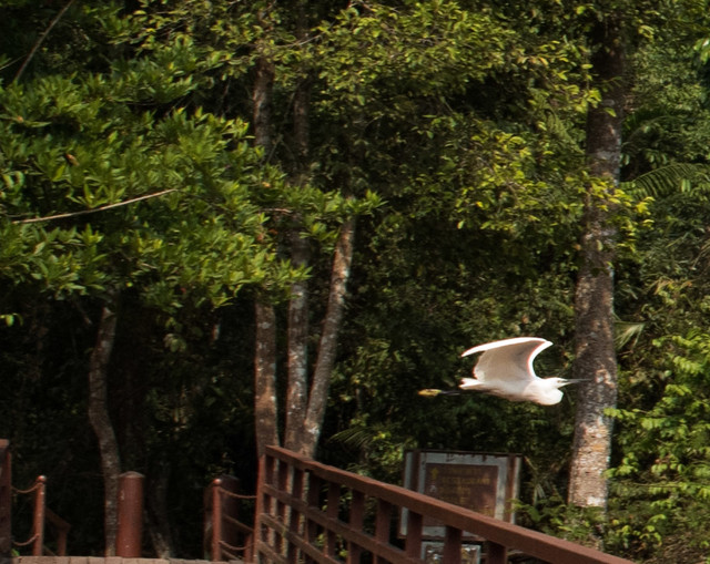 Jacek Pióro #304734