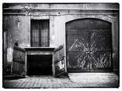 Piotr A. B. OLYMPUS DIGITAL CAMERA