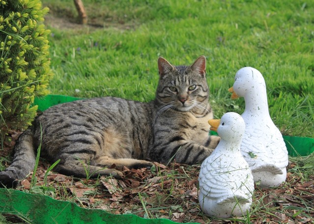 Andżelika Przystańska #138702