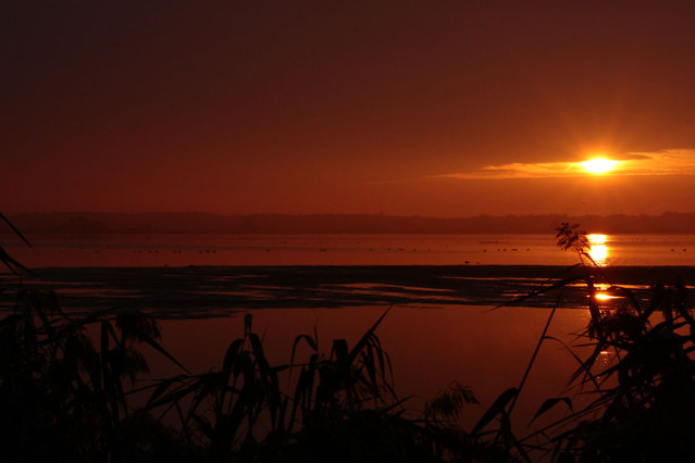 Marta Lipowska #229908