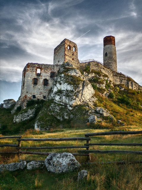 Talambur OLYMPUS DIGITAL CAMERA