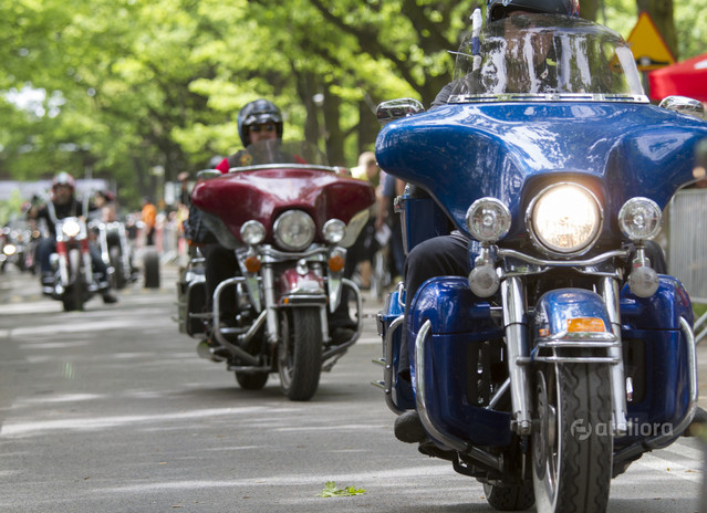 Maciej Frolow #210744