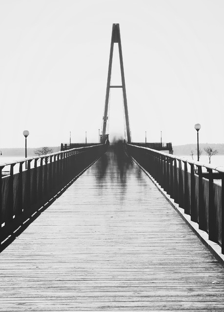 MariuszFotografia #314900