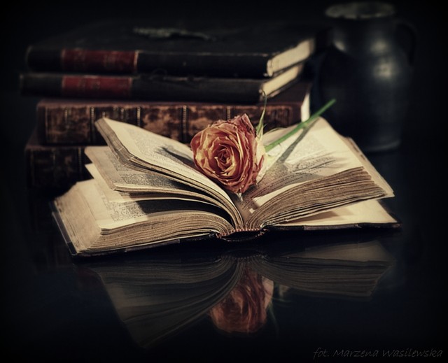 ... Picasa #238914