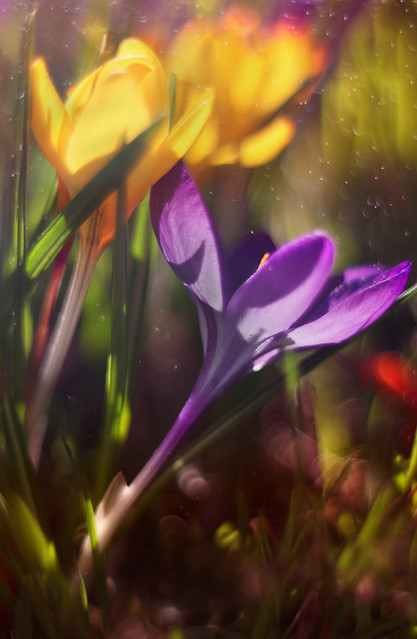 Agnieszka Turek #143191