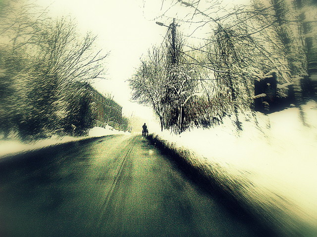 Picasa <SAMSUNG DIGITAL CAMERA>