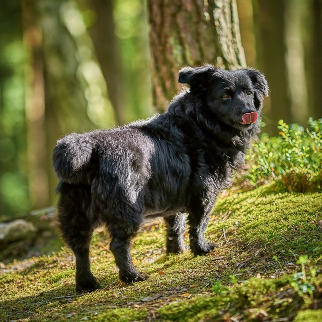 SONY DSC SONY DSC Tomasz Naglik #348086