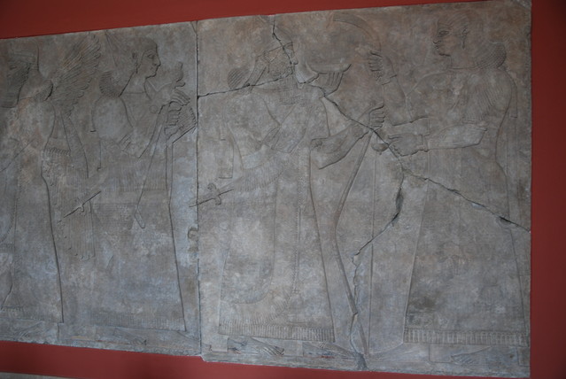 Jacek Pióro #262108