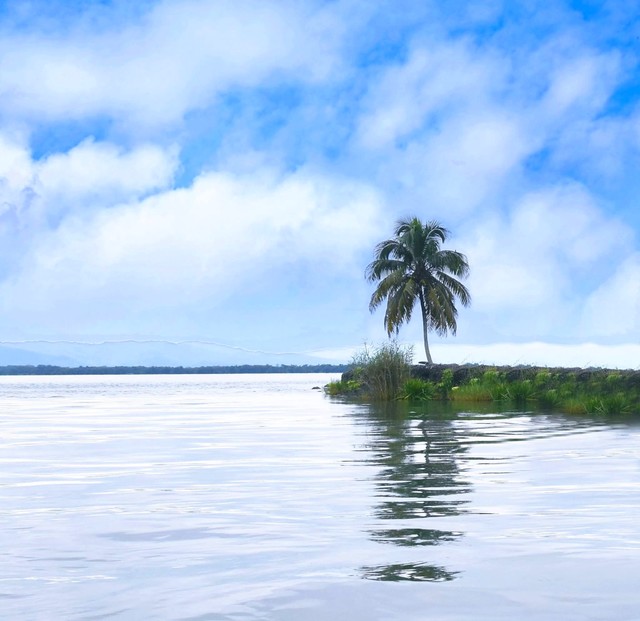 Gwatemala Stanisław Hawrus #348732