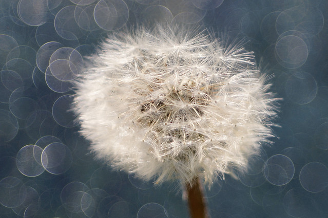 Sławek Rezerwa #348550