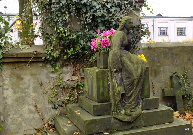 Łódź cmęntarz Picasa #300733