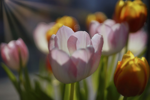 Sławek Rezerwa #348764