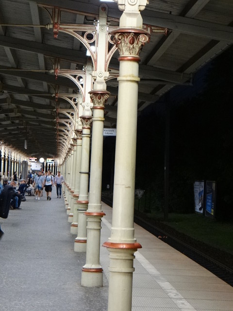 Lidia Stepniewska #234244