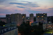Picasa 