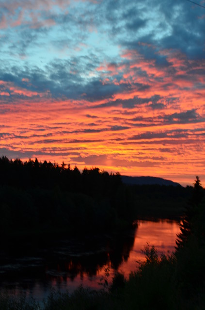 Krzysiek Cegiełka #283568