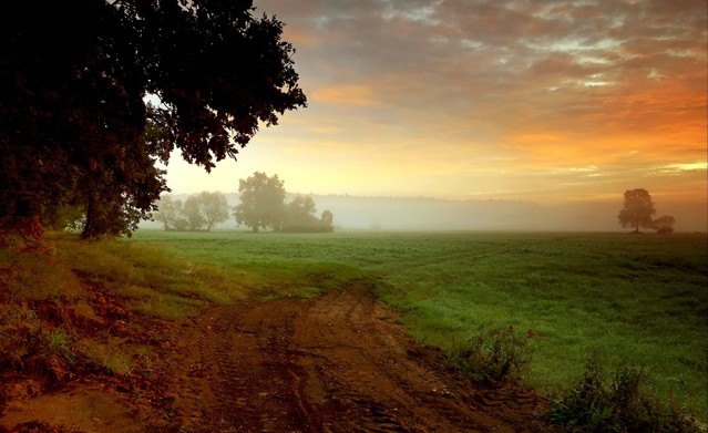 Złota godzina nad łęgami Dolina Noteci Zbyszek1955 #336699