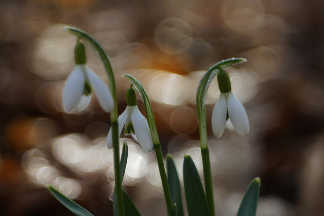 Sławek Rezerwa #348760