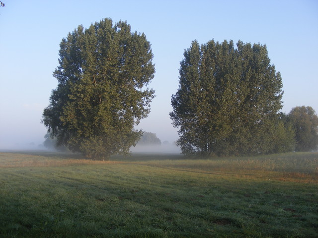 Edmund Wronka #128985