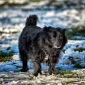 Tomasz Naglik SONY DSC